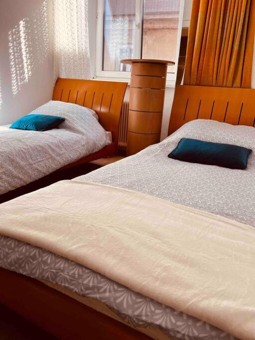 Graz City Centr Apartment מראה חיצוני תמונה